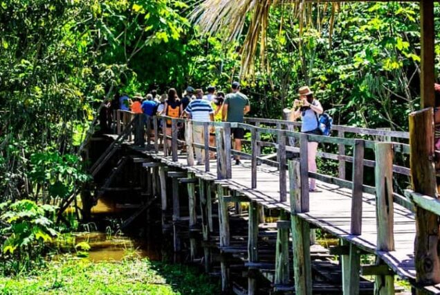 Amazon Jungle trekking